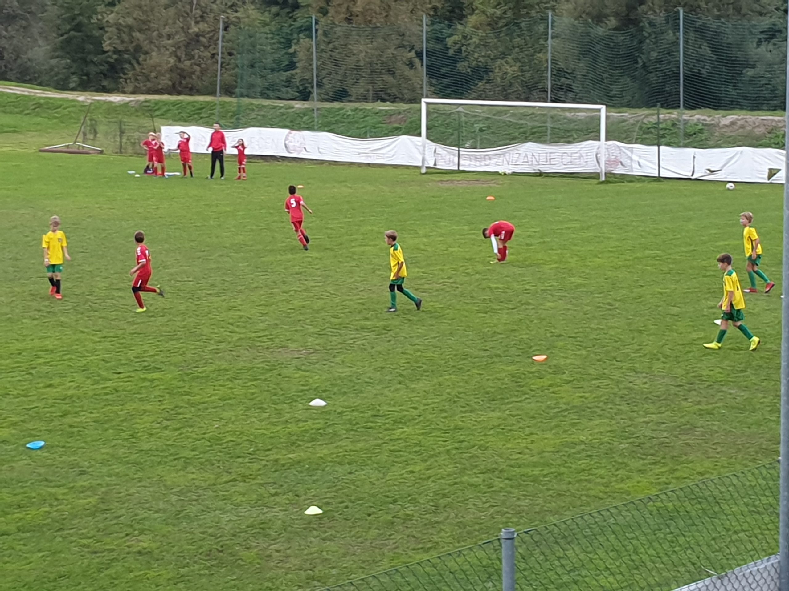 NK ZARICA KRANJ U11