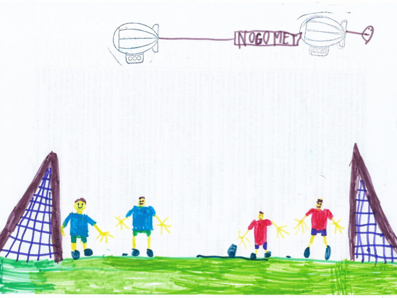 Kaj počne Vid?