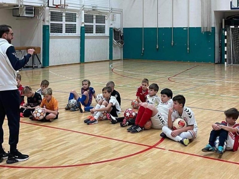 Mladinski program