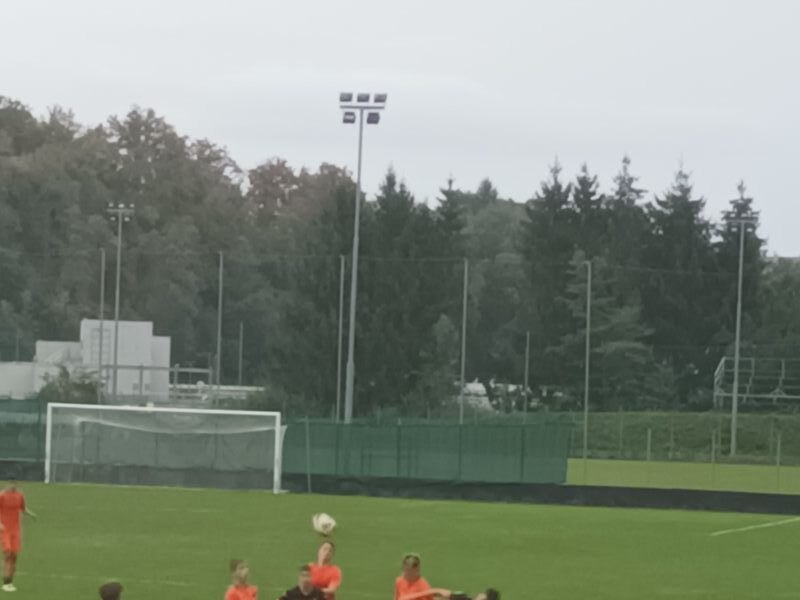Lepe predstave mlajših selekcij